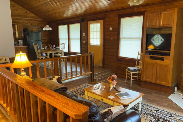 Double Wedding Ring (3) sunken living room in cabin