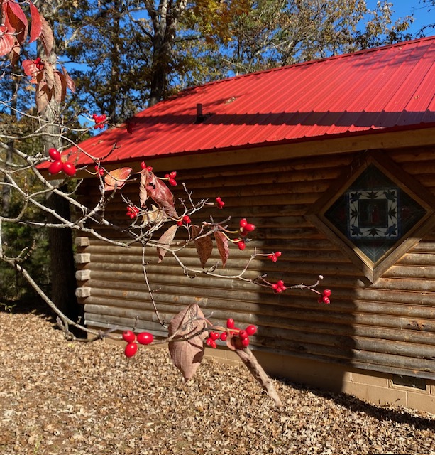 IMG_6630 (1) cabin rental at hidden valley guest ranch