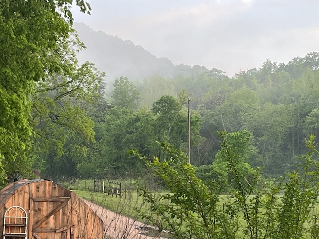 image10 fog on ozark mountains