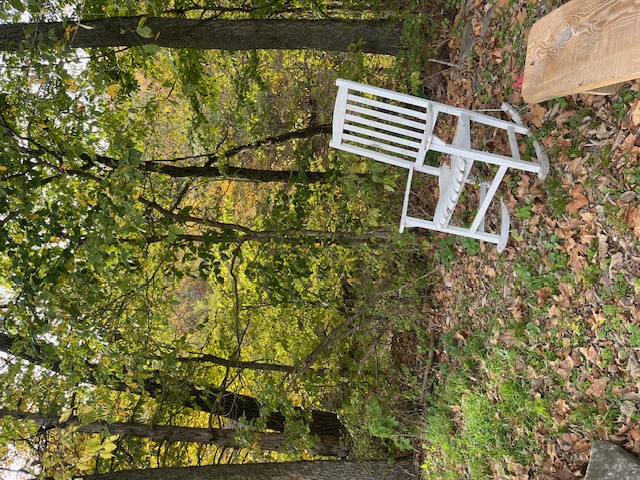 image18 rocking chair in woods