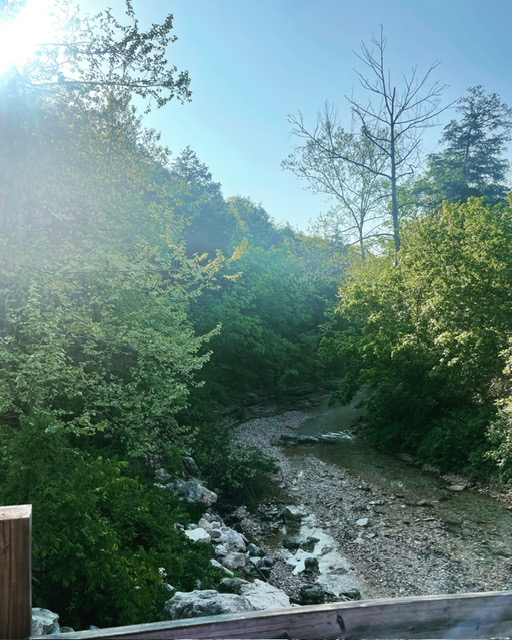 image19 creek running through ozark mountains at hidden valley guest ranch