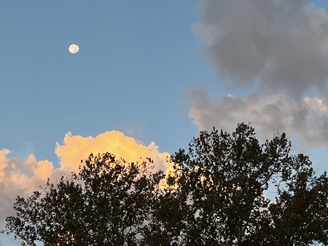 image22 full moon