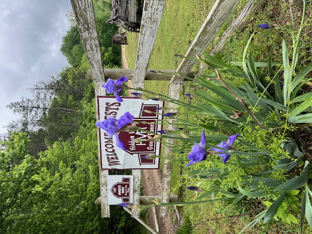 image3 hidden valley guest ranch welcome sign surrounded by flowers