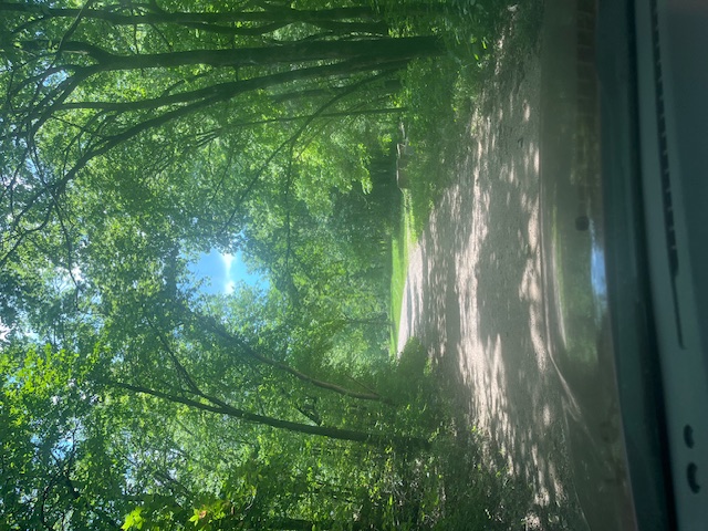 image8 gravel road surrounded by green trees